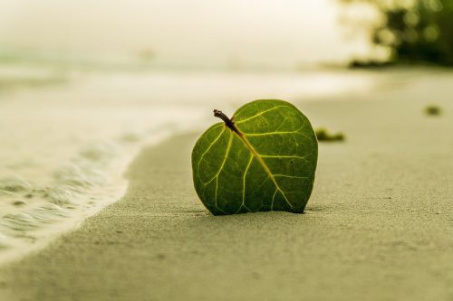 être dans un état de relaxation